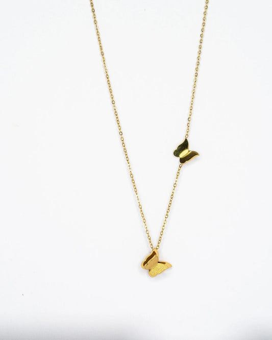 Asymmetrical Double Butterfly Chain